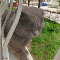 Sokağa te..