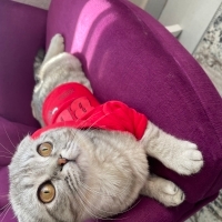 Muzırıma..