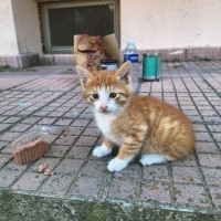 Gözlerine..