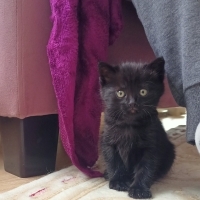 Mini minn..