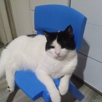Mırmır oğ..