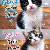 İKİ BICIR..