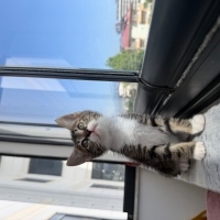 İki minik..