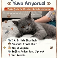 ÇAKIL SİZ..