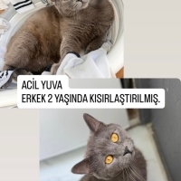 2 yaşında..