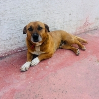 TUVALET E..
