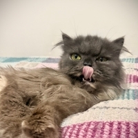 Sokakta b..