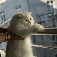 Yumoş yum..