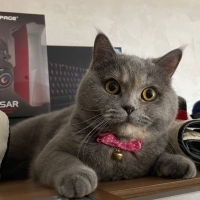 Çok sakin..