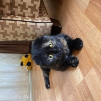 YAŞAMA TU..