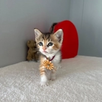 Minik tatlı yavrumuz