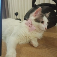 Çok korka..