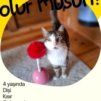 GÜZEL KIZ..