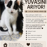 Bu Ürkek..