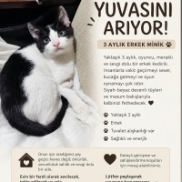 Bu Tombul..