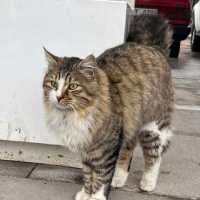 Çok uysal..