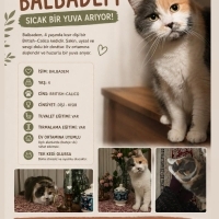 Balbadem..