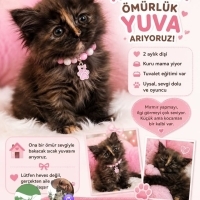 Bir ömür..