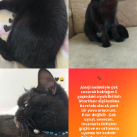 🐾 Sevgi..