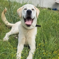 BARINAĞA..