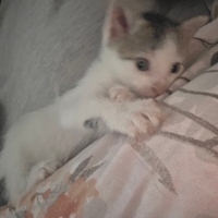çok tatlı..