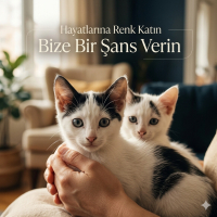 Tatlı min..