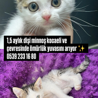 güzel pre..