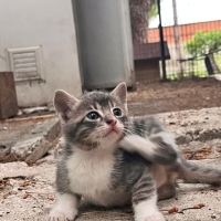 Bu güzel..