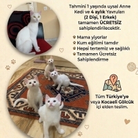 Bir anne..