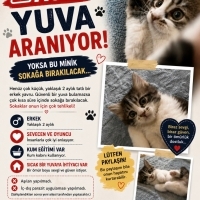 Sevgi ver..