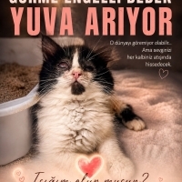 GÖRME KAYBI OLAN BEBEK KEDİ YUVA ARIYOR