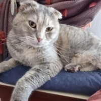 Cici kızı..