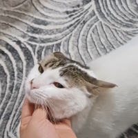 Sokağa gi..
