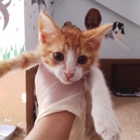 ÇOK SEVİM..