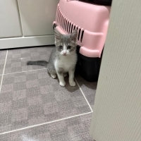 Minnak’ın..