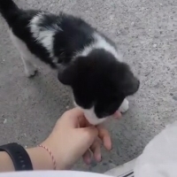 Küçücük n..