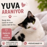 İnsan can..