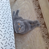3.5 yaşın..