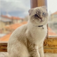 1 Yaşında..