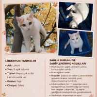 EVİNİZDE..
