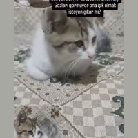 Görme eng..
