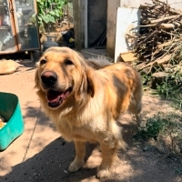 Güzel kız..