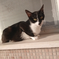 Güzel kız..