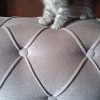 Birbirind..
