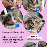4 sekere..