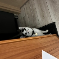 Onun için..
