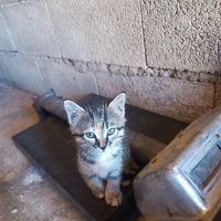 Şanlıurfa..