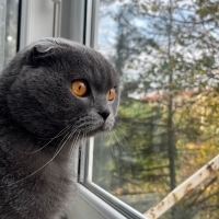 Oğluma Yu..