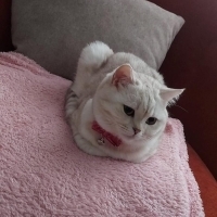 Kızım içi..