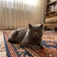 Tatlı kız..